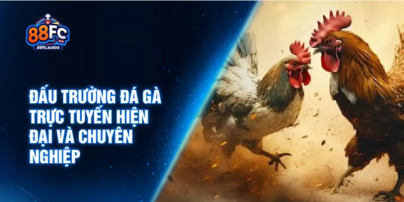 Đấu trường đá gà trực tuyến hiện đại và chuyên nghiệp