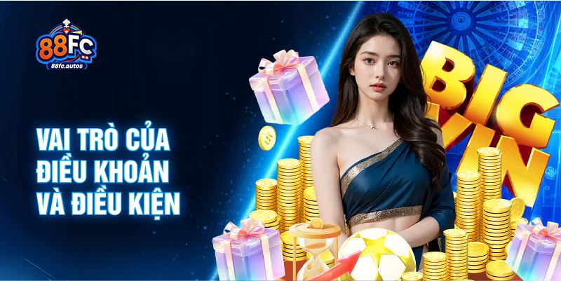 Vai trò của điều khoản và điều kiện